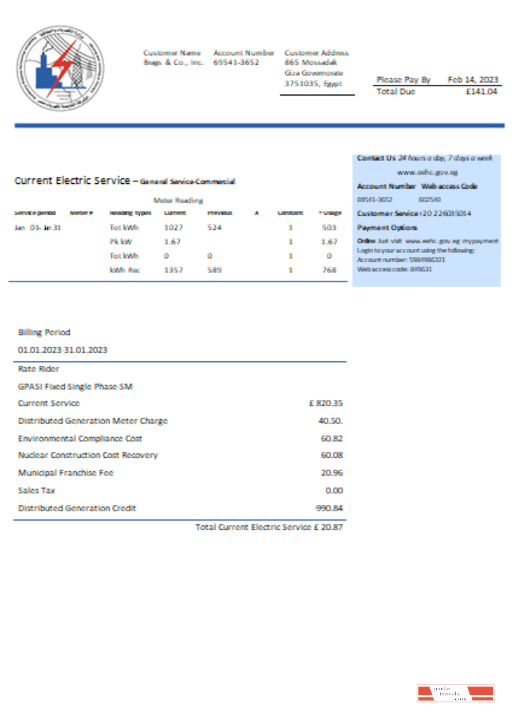 Egyptian Electricity utility business bill,  SCR PSD template